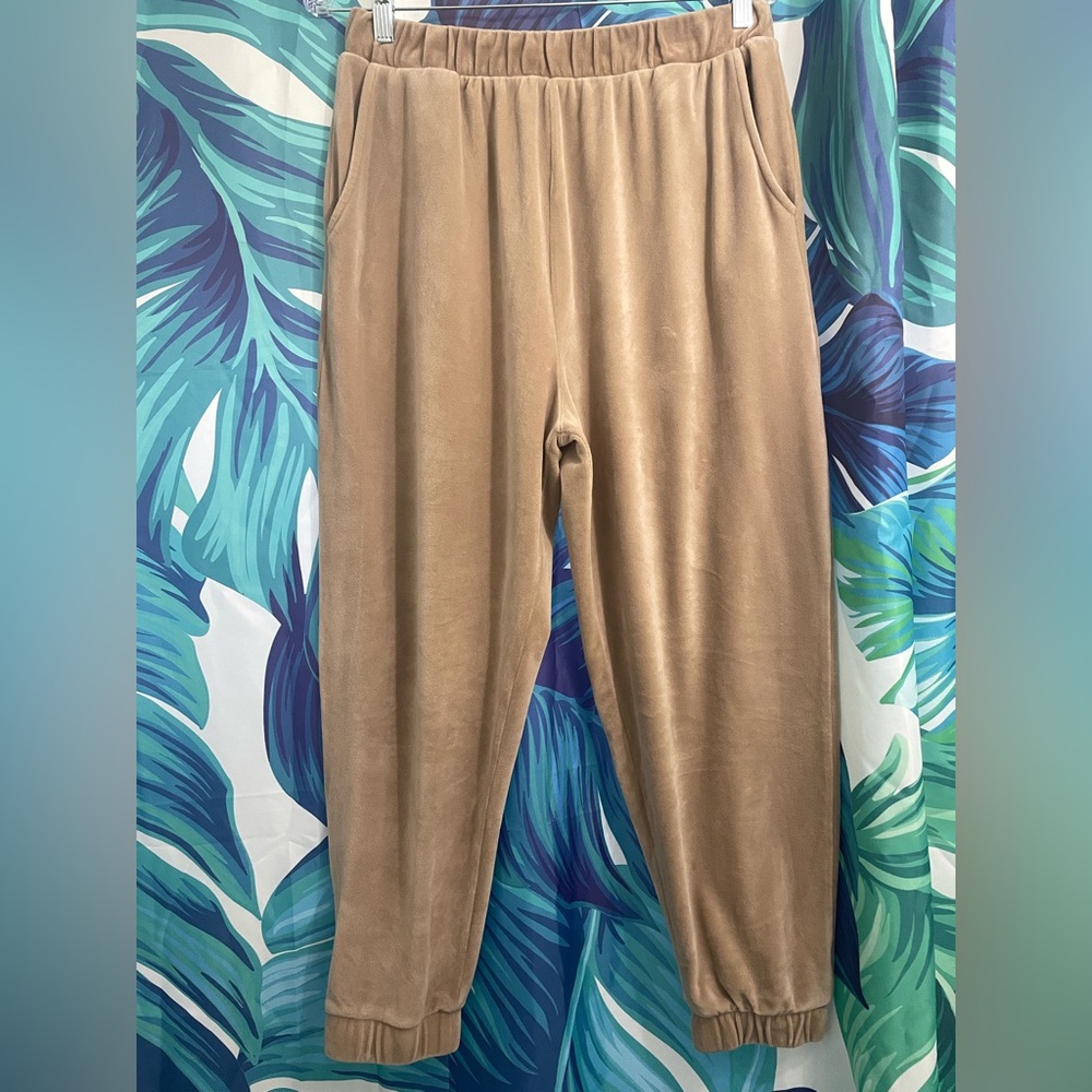 Beige Velvet Jogger Pants